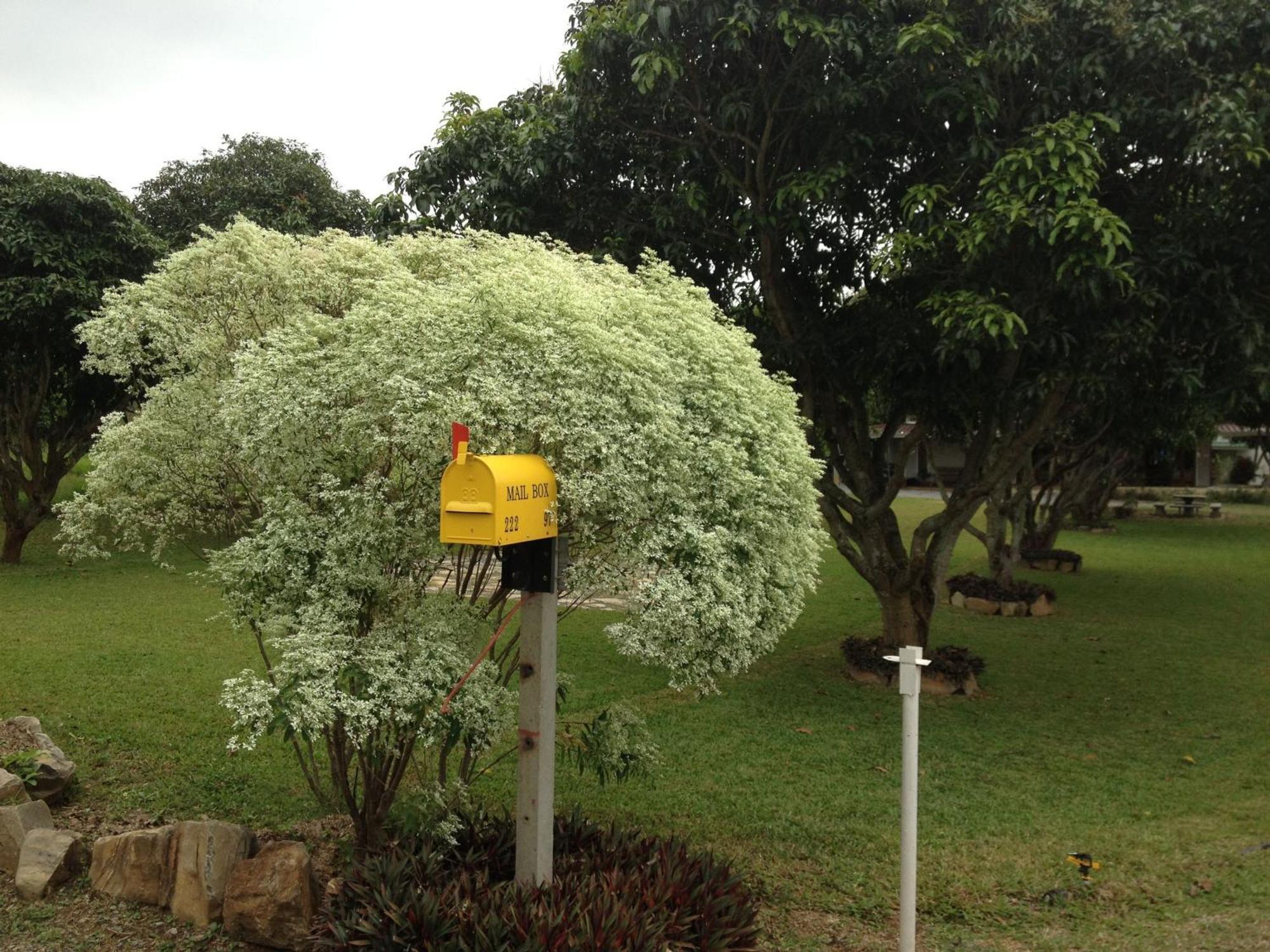 Hotel Jardin De Mangue Pak Chong Exterior foto